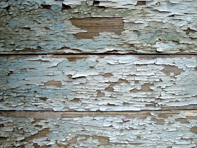 paint garage door
